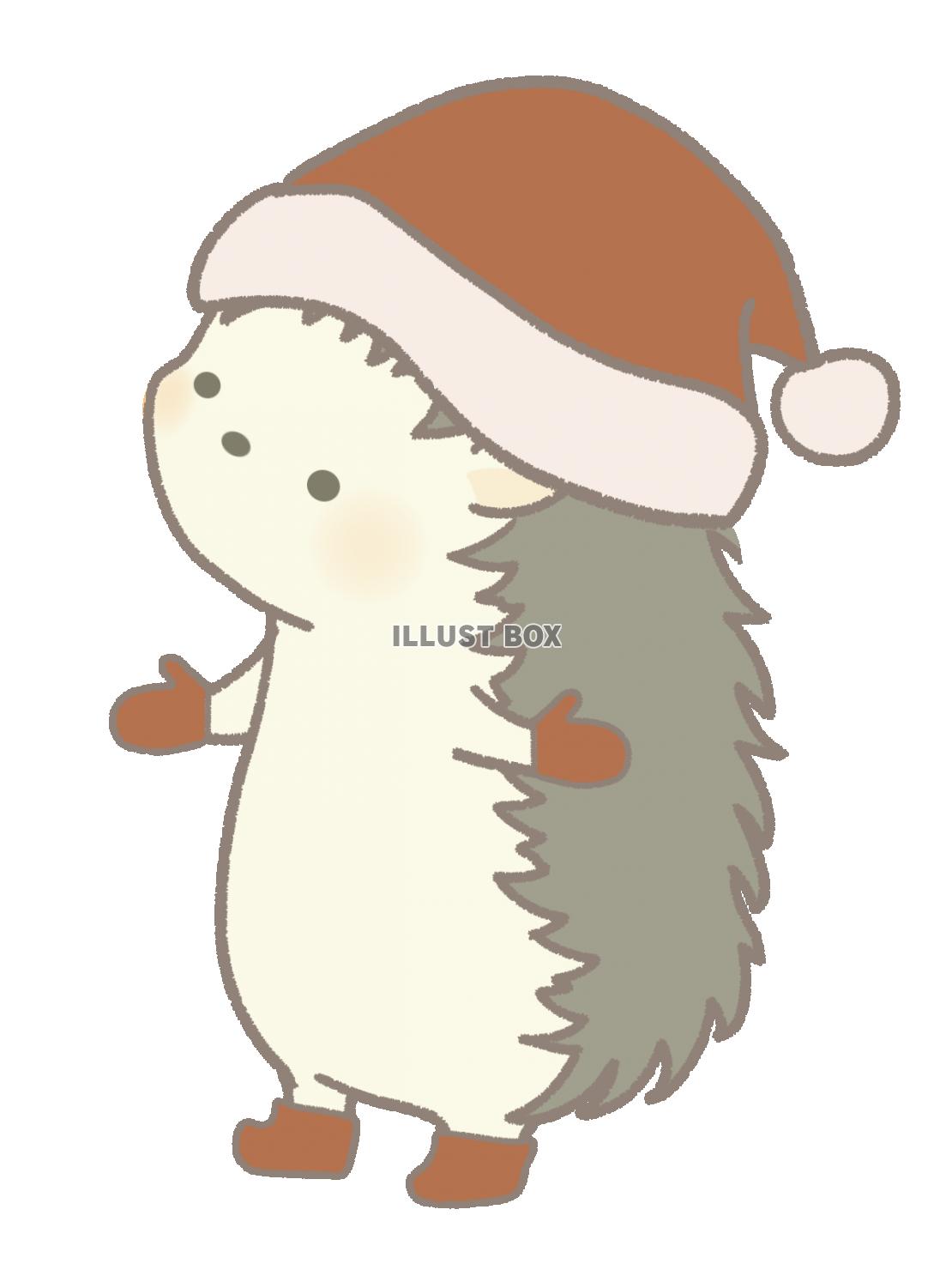 冬　赤い帽子と手袋をしたハリネズミのイラスト　線あり