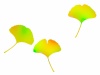 銀杏の葉っぱ壁紙シンプル背景素材イラスト