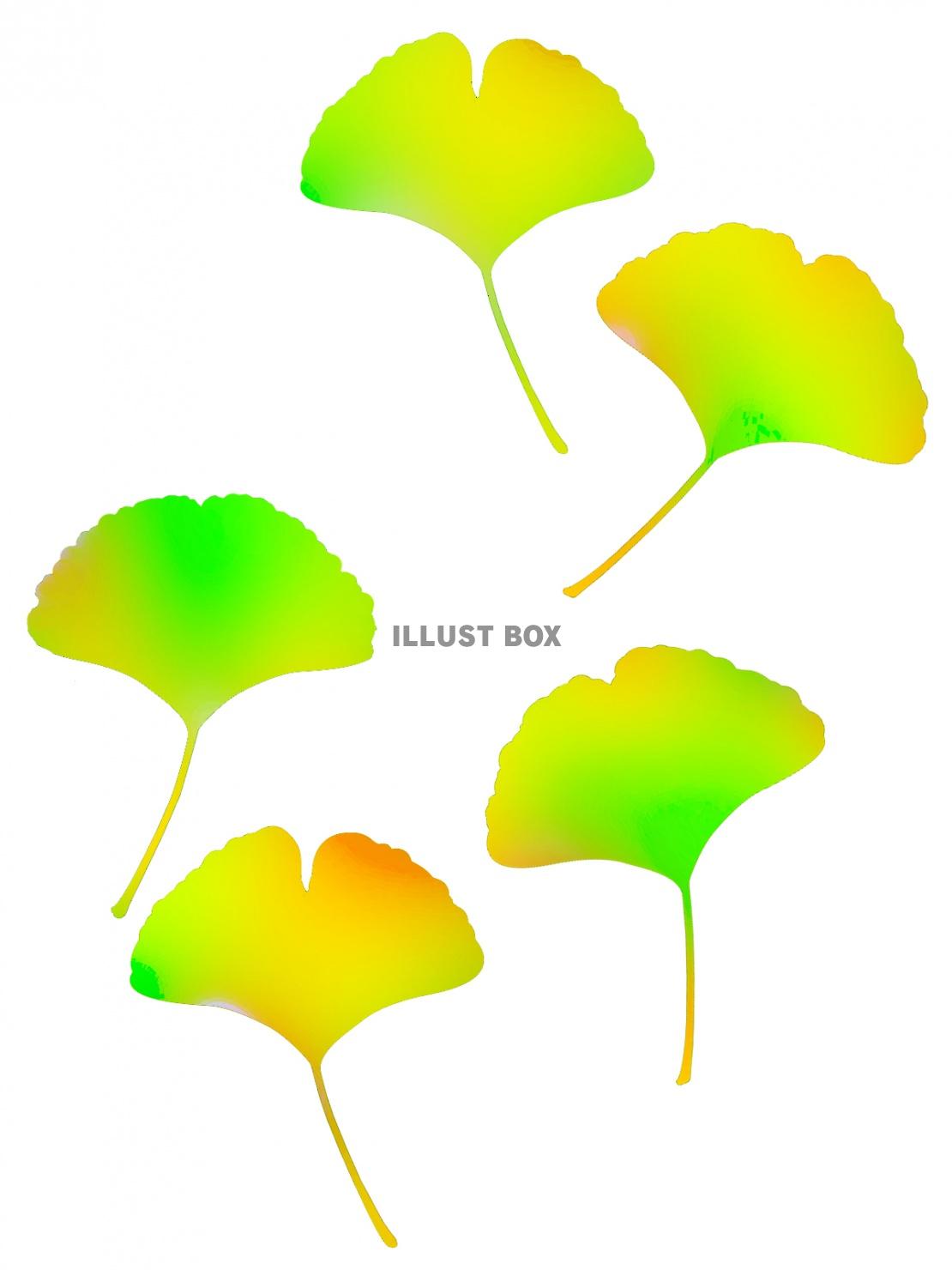 銀杏の葉っぱ壁紙シンプル背景素材イラスト