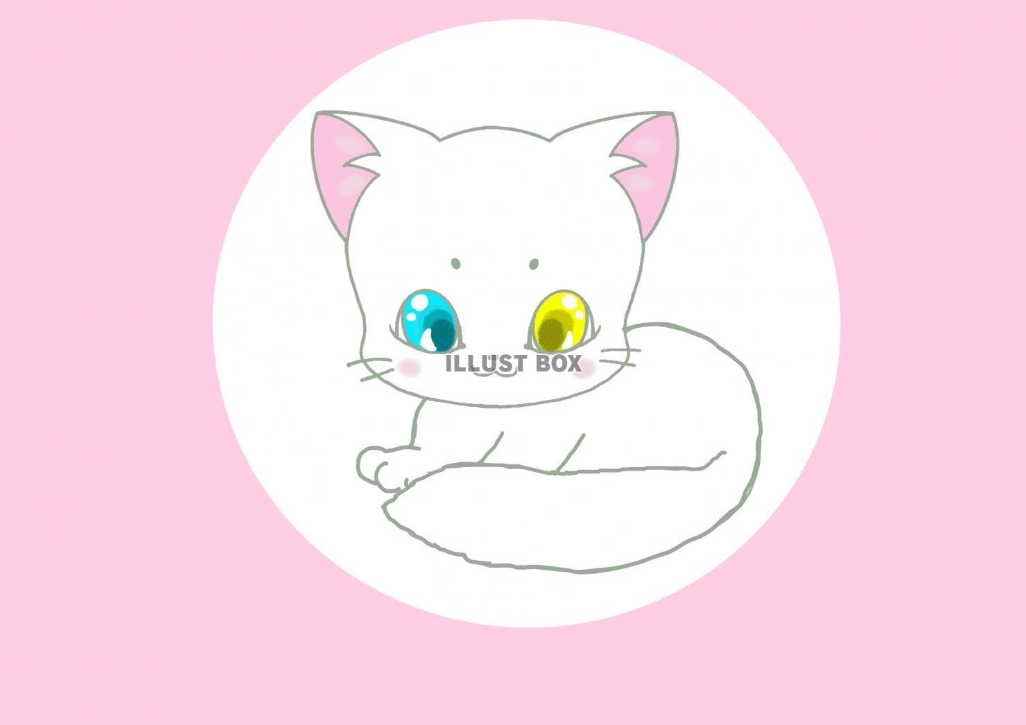 無料イラスト 猫アイコン ふわふわメインクーンオッドアイ