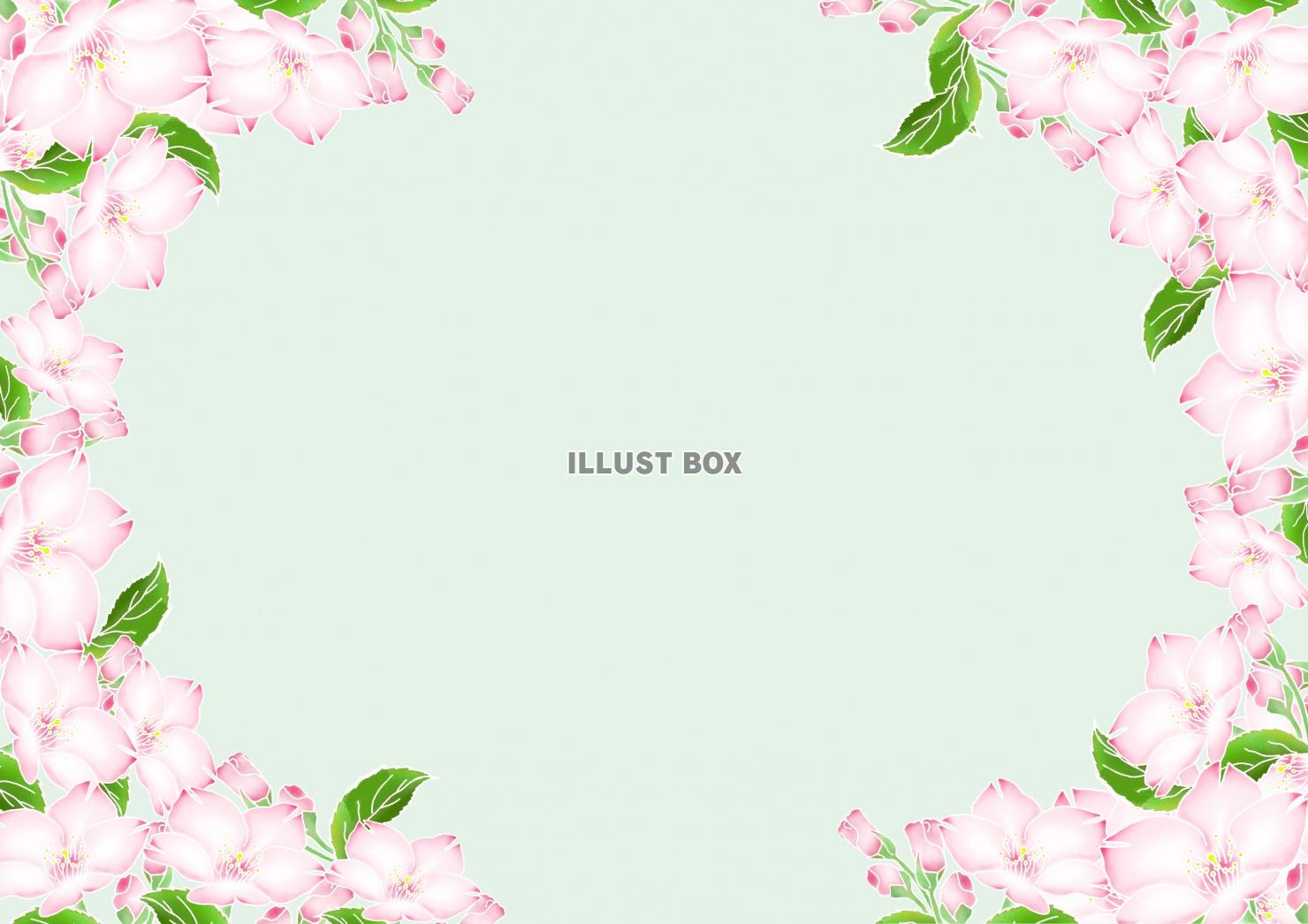 花シリーズ 桜 抹茶