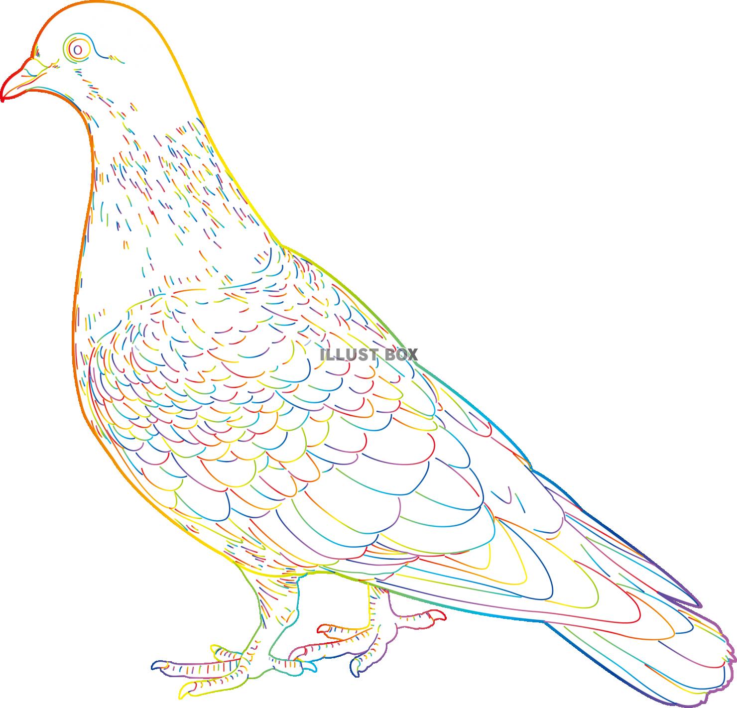 無料イラスト 虹色の線画 鳥 鳩