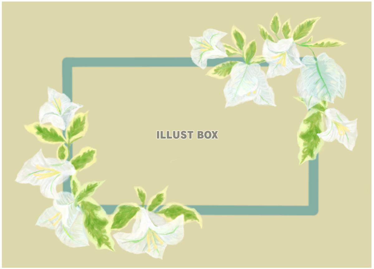 白い花のメッセージカード