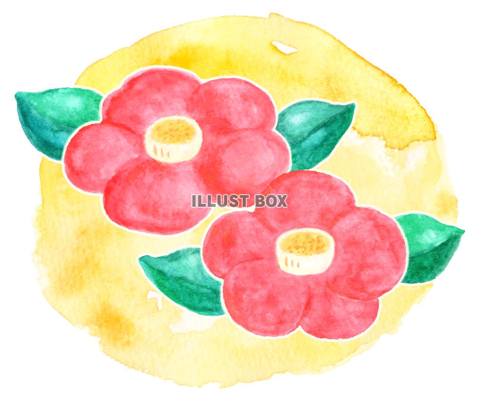 椿の花 イラスト無料