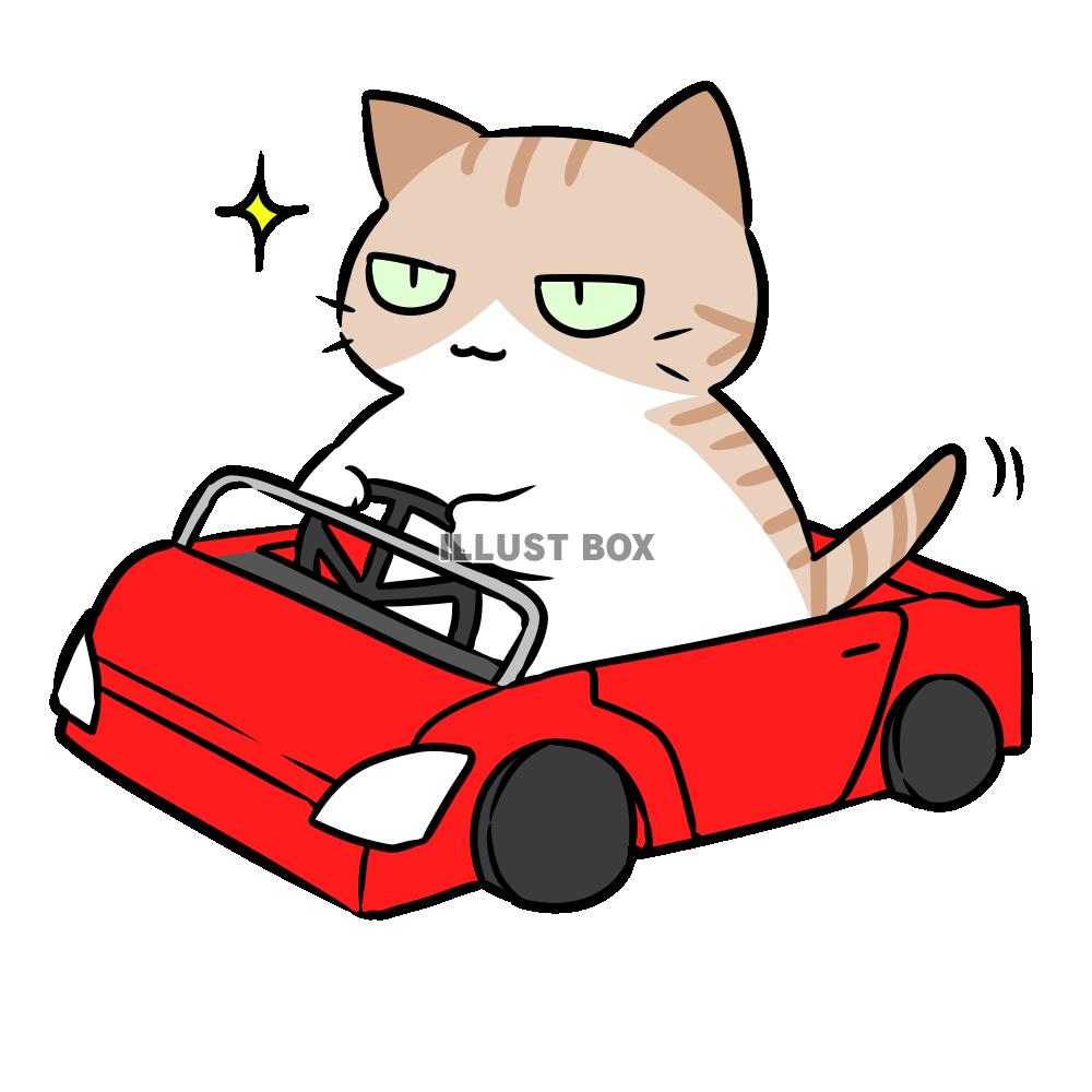 無料イラスト 車を運転する猫
