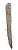 ゆるいごぼう