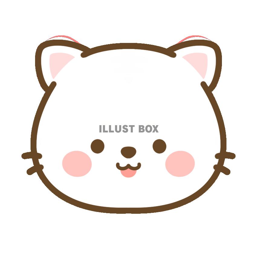 猫・白