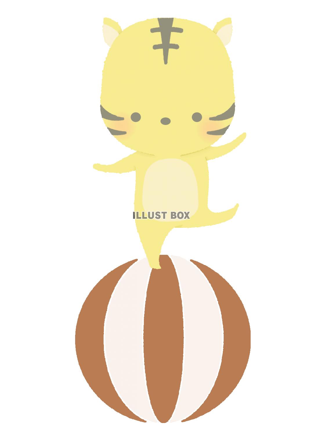 玉乗りをするトラのイラスト　線なし