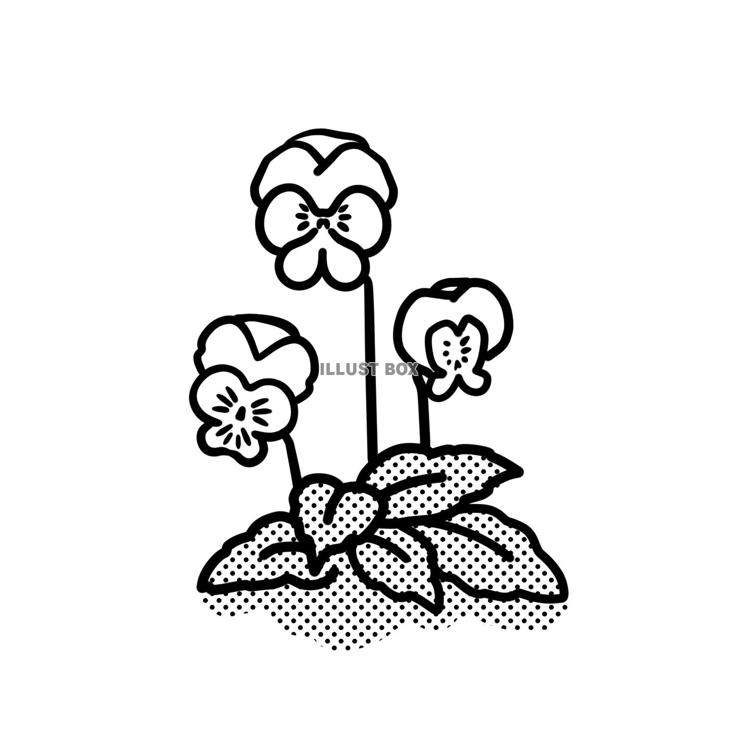 ビオラ（花）のモノクロイラスト