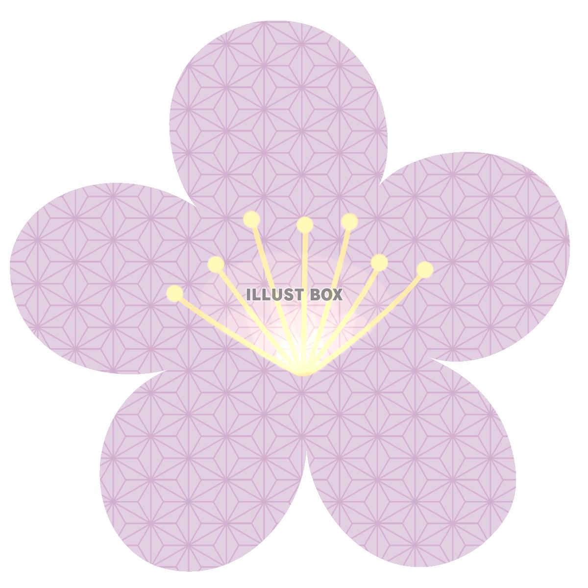 梅の花に麻の葉文様のイラスト素材（薄紫色）