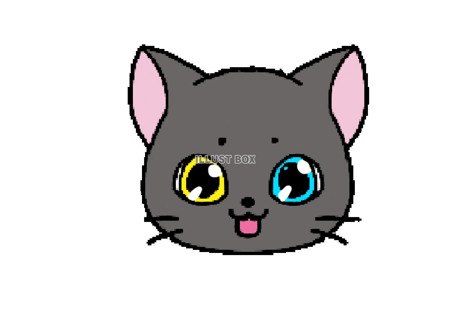猫アイコン　うちの子オッドアイ