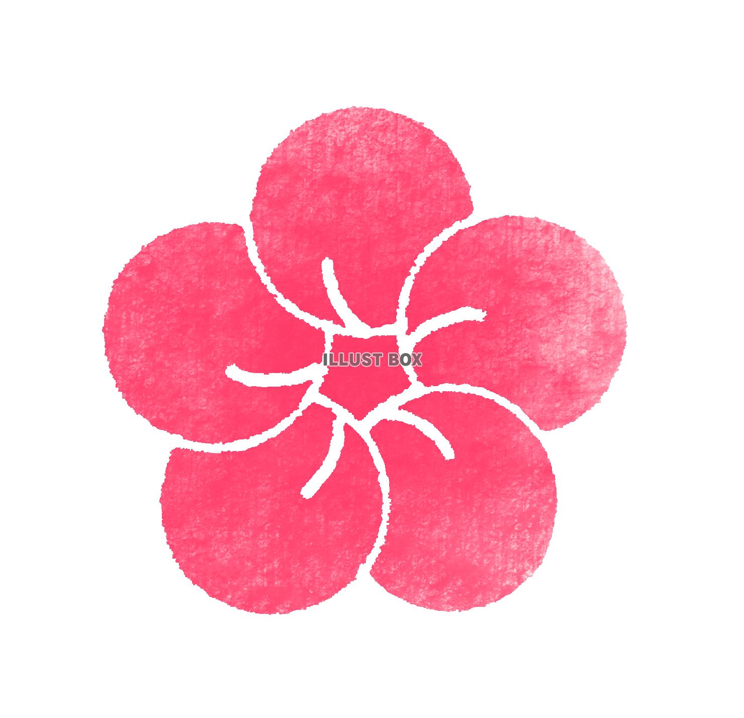 無料イラスト 正月素材 版画風 梅の花