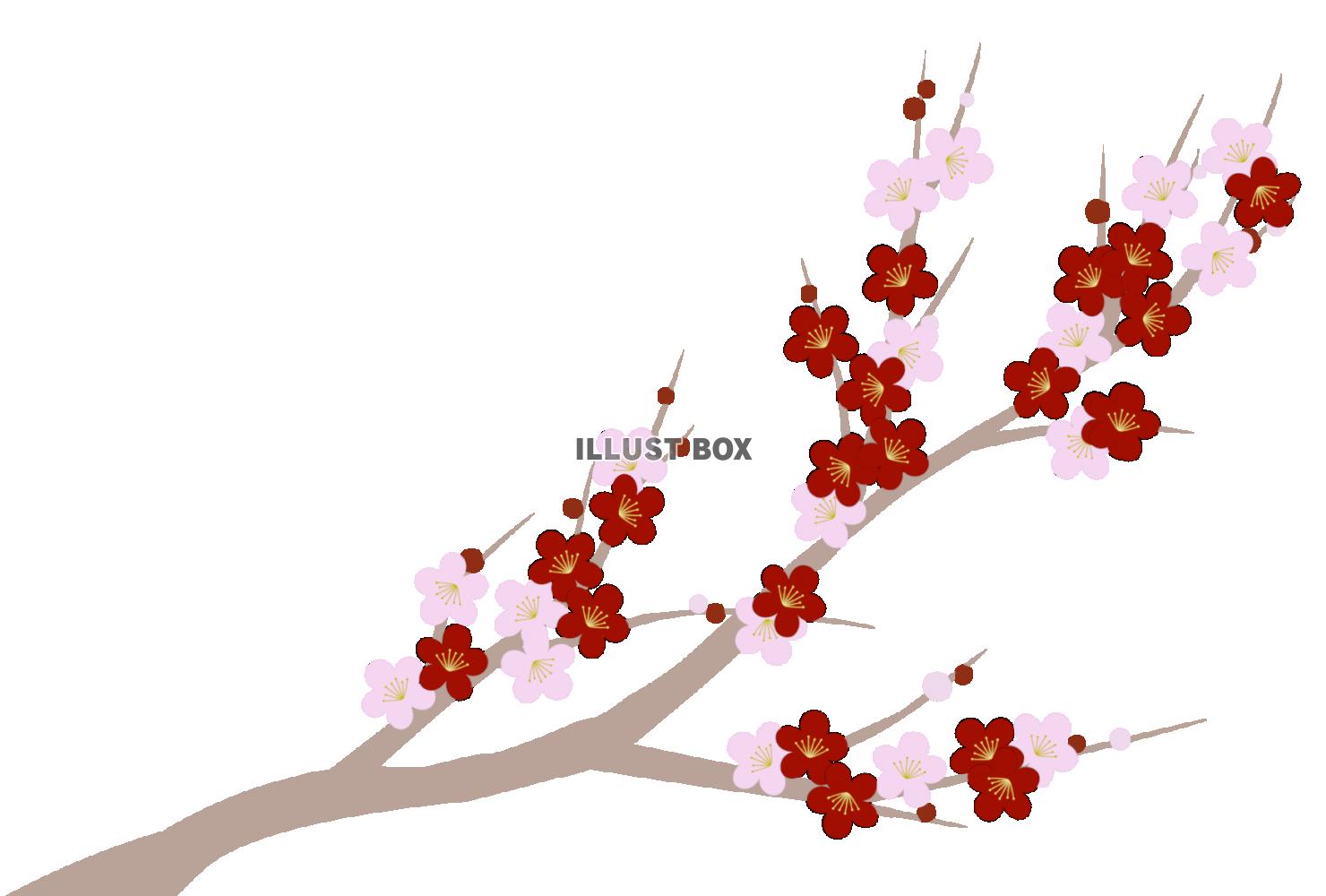 年賀状素材　シックな枝梅の花　和風イラスト