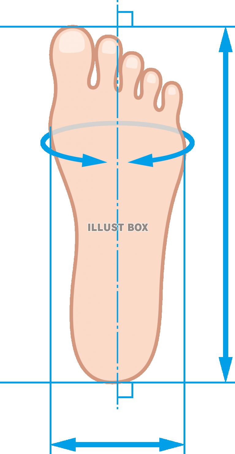 足のサイズ　測り方　測定方法　図解
