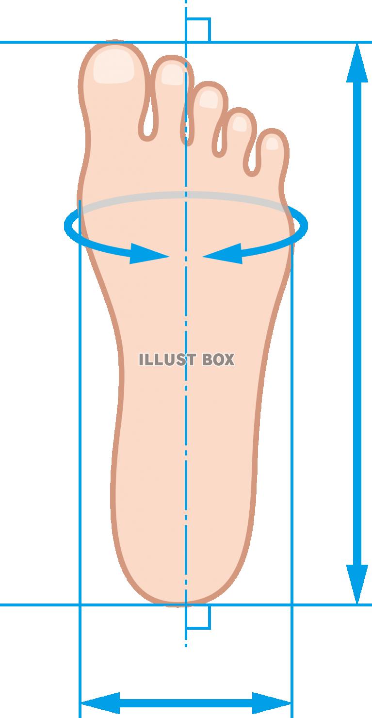 無料イラスト 足のサイズ 測り方 測定方法 図解