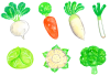 水彩の冬野菜