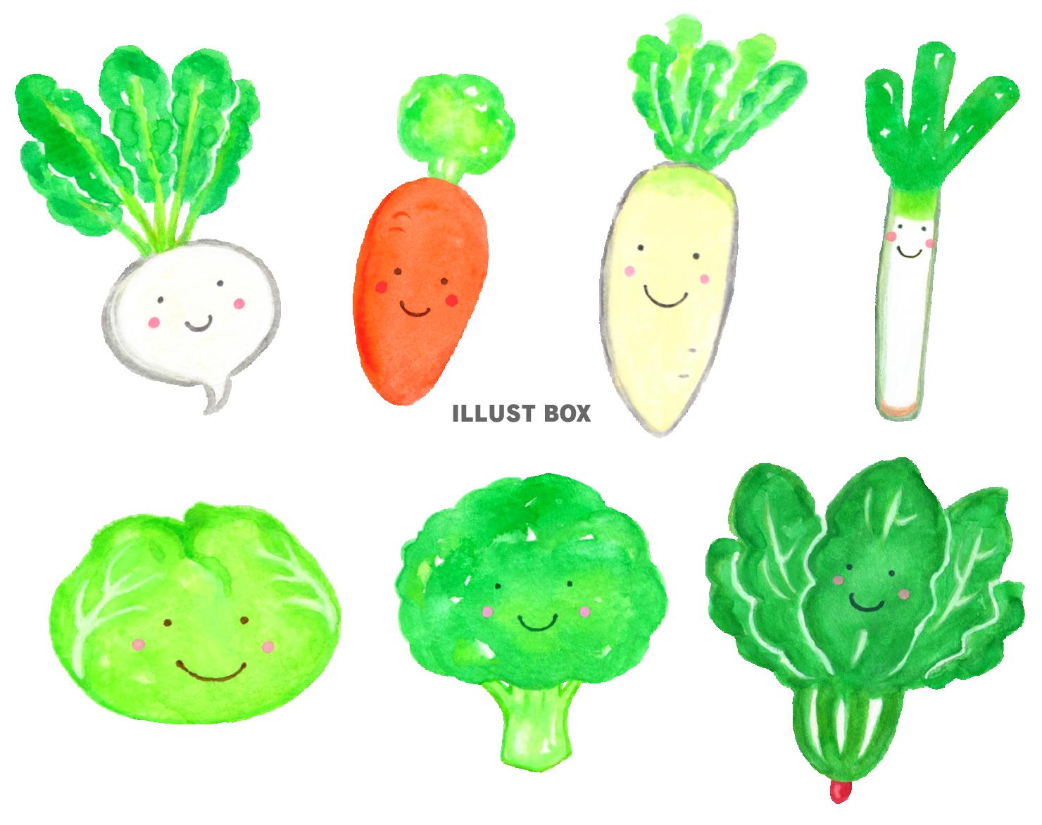 無料イラスト 水彩のかわいい冬野菜
