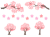 桜の木・花・枝の素材