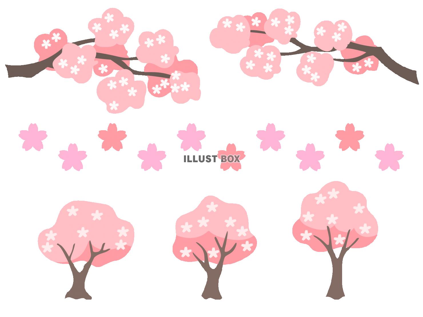 桜の木・花・枝の素材