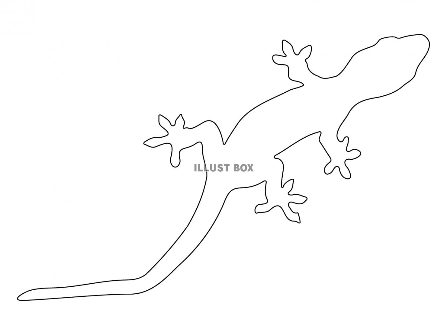 無料イラスト ヤモリ トカゲ 爬虫類 シルエット 線画