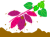 芋ほり３