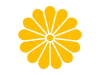 菊の花（透過PNG）のアイコン素材