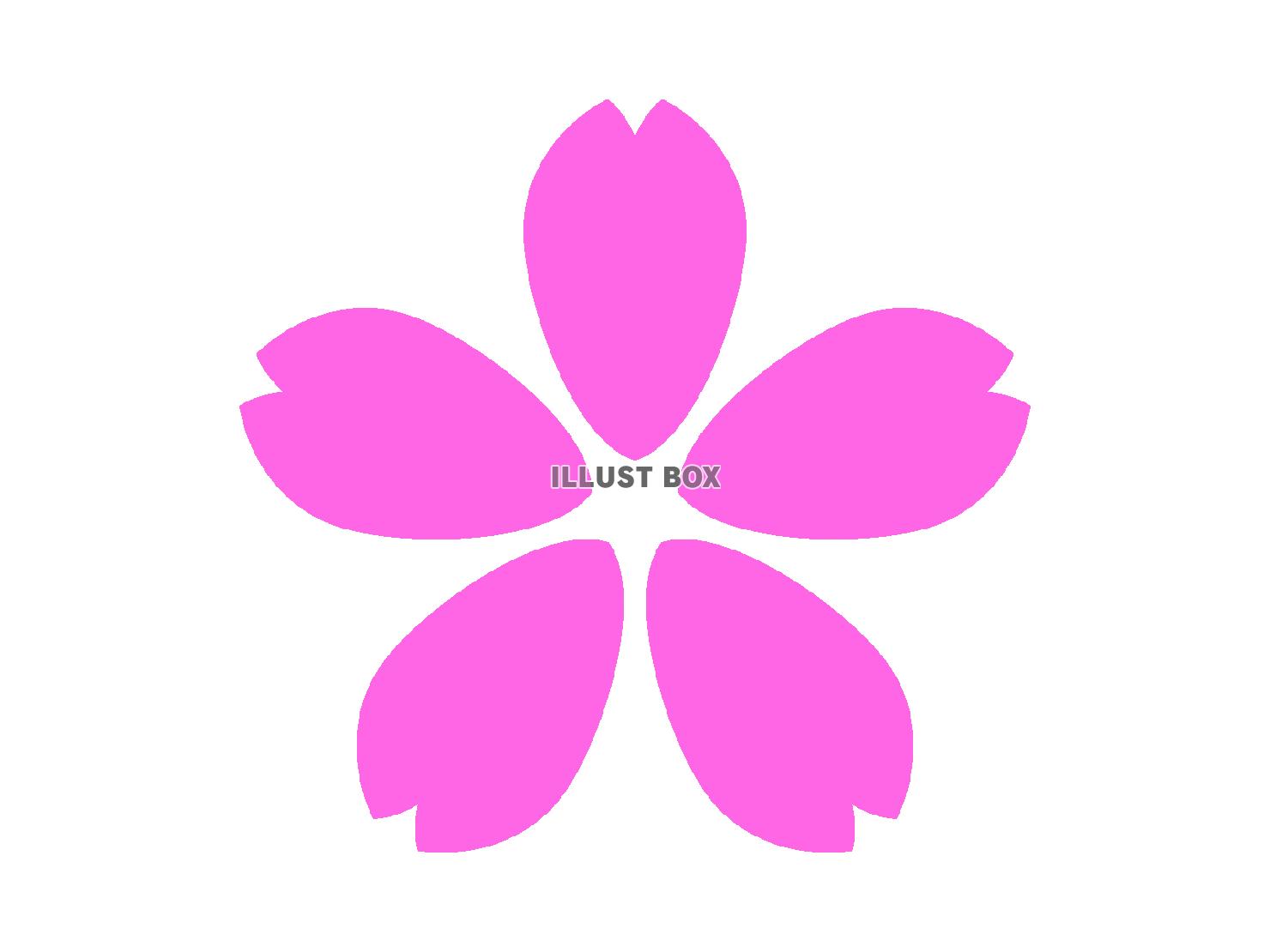 桜の花（透過PNG）のアイコン素材