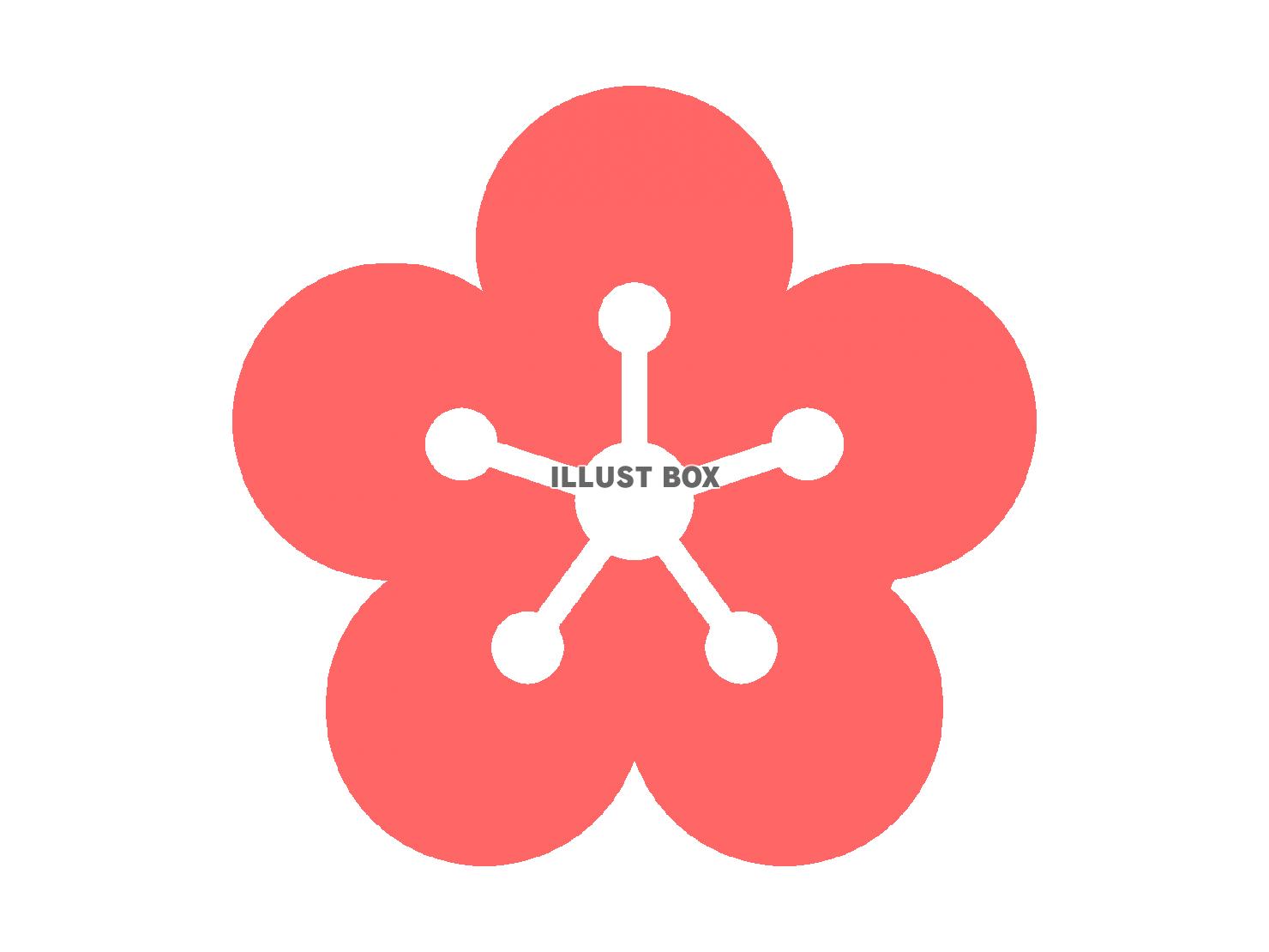 梅の花（透過PNG）のアイコン素材