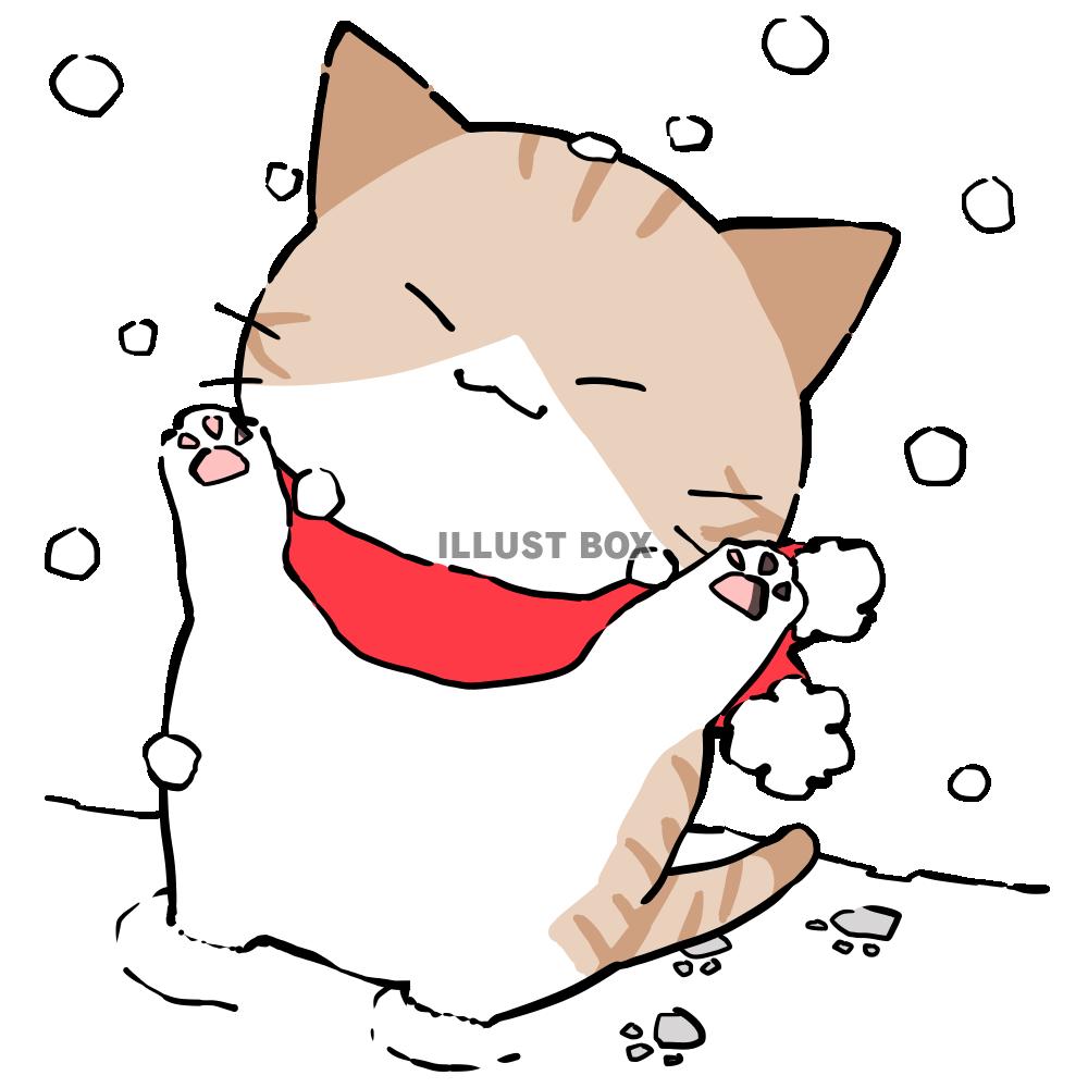 雪に手をかざす猫