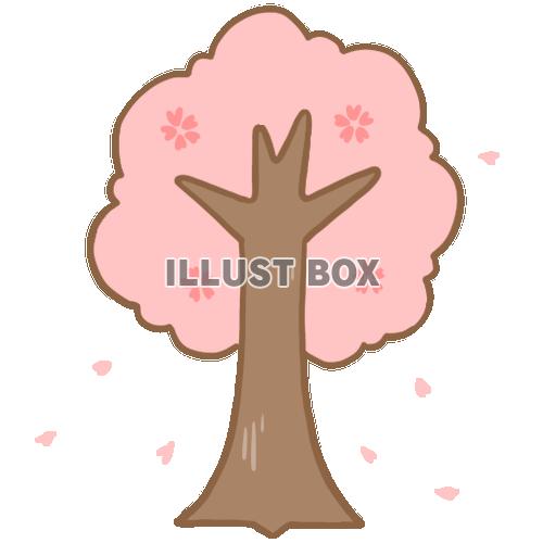 無料イラスト 桜の木 散る桜