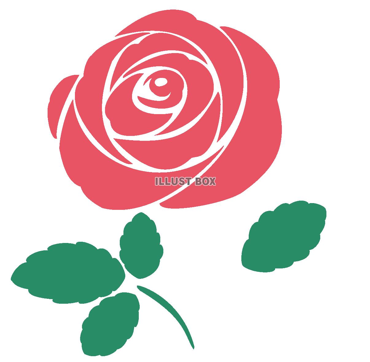 赤い薔薇の花のイラスト　一輪　透過PNG