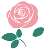 ピンクの薔薇の花のイラスト　一輪　透過PNG