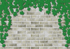 蔦の絡まるノスタルジックな石造りの壁