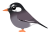 ムクドリ（日本の野鳥）透過PNG