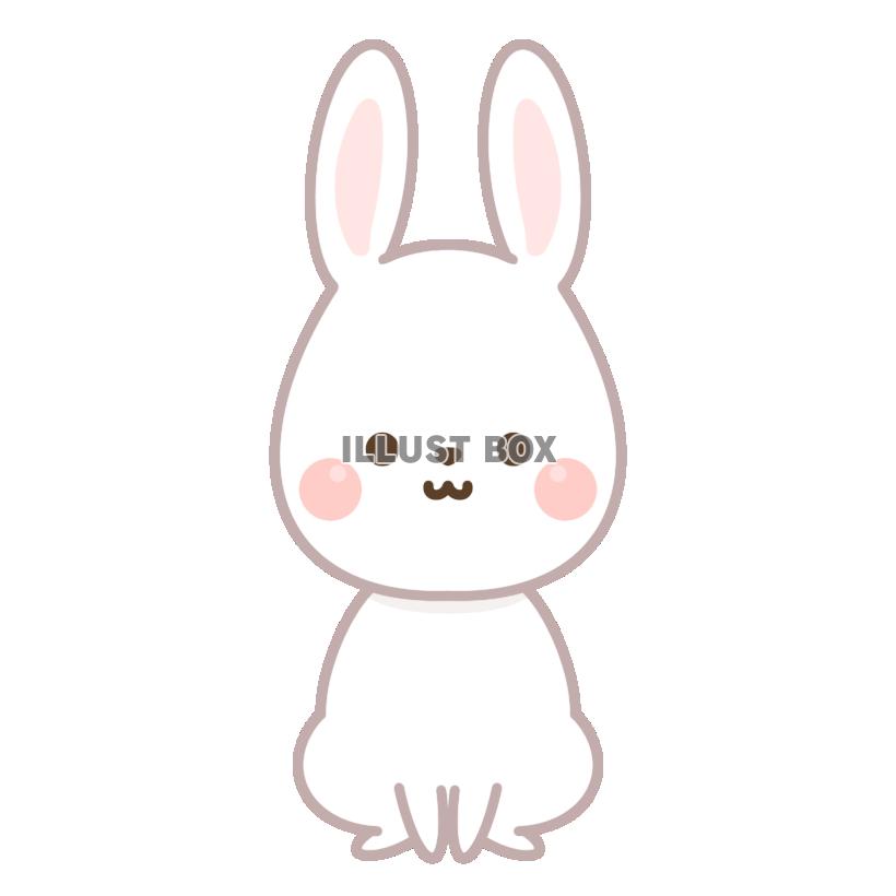 うさぎ