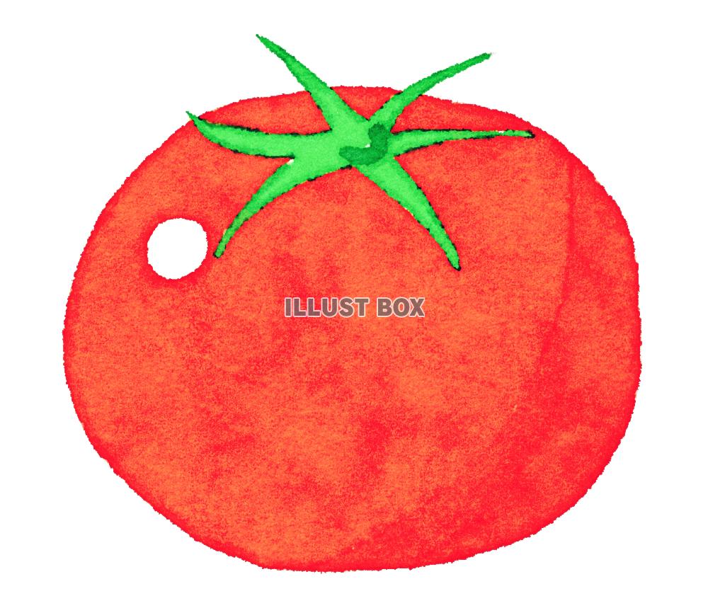 水彩食材シリーズ　トマト 