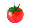 水彩食材シリーズ　プチトマト 