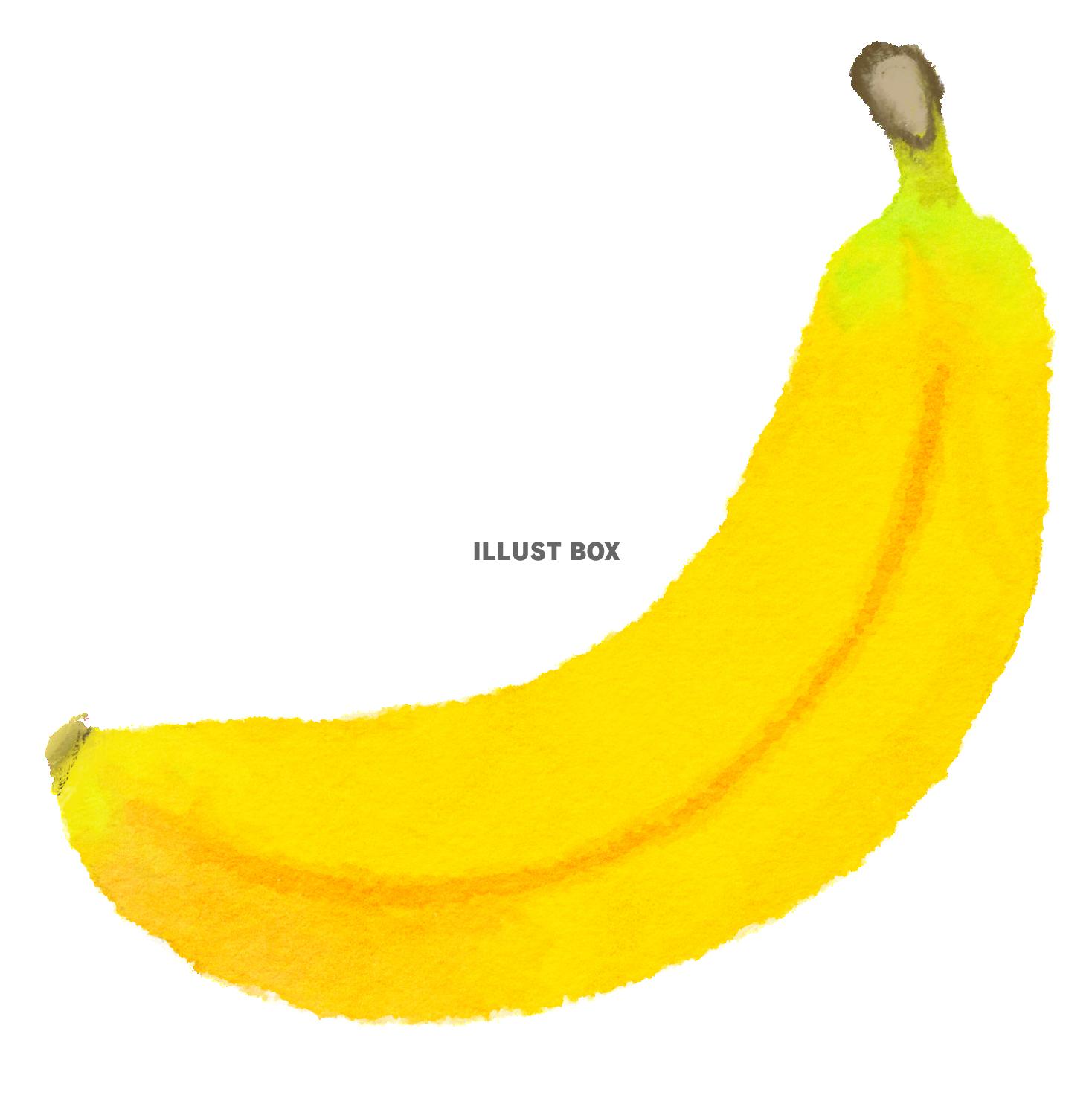 無料イラスト 水彩食材シリーズ バナナ