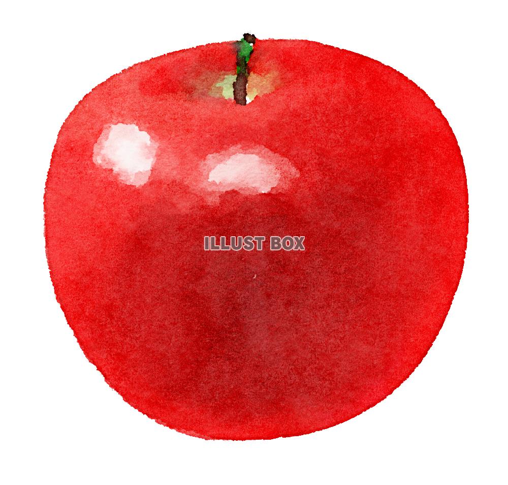りんご イラスト無料