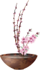桃の花の生花