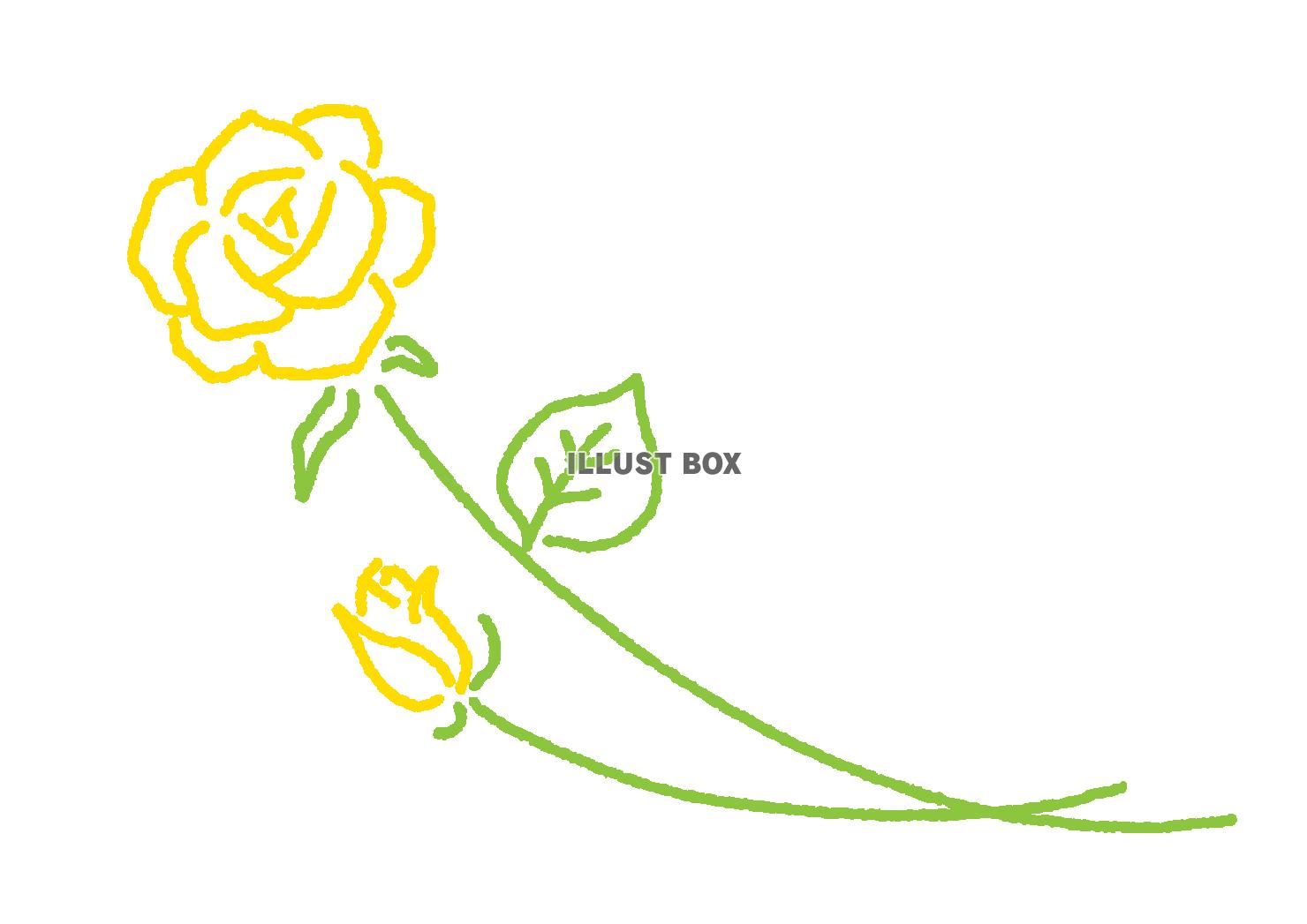黄色いバラ　薔薇の花　シンプルカラー線画
