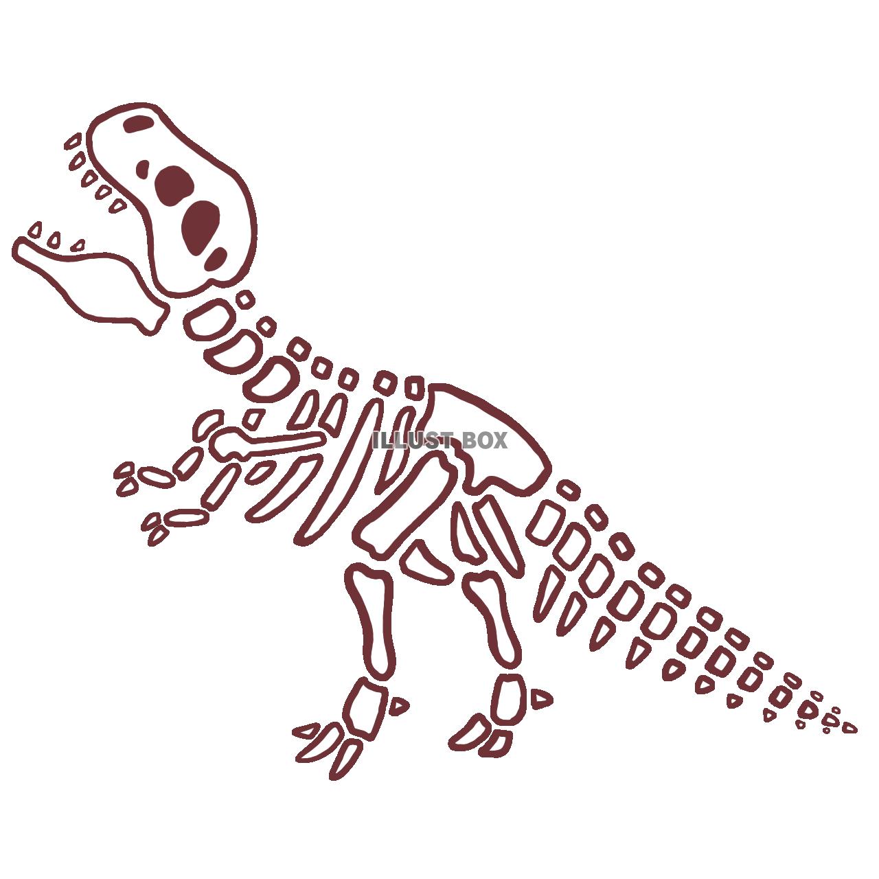 ティラノサウルスの骨格