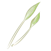山菜-うすい水彩風(zipファイル: pdf,jpg,透過png)