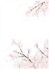 桜斜め右下飾り_縦長(zipファイル: pdf,jpg,透過png)