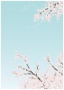 桜斜め右下飾り背景あり縦長(zipファイル: pdf,jpg,png)
