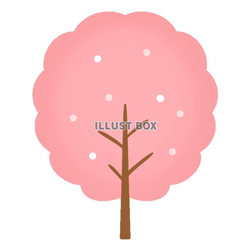 桜の木