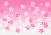 桜のグラデーション　背景素材