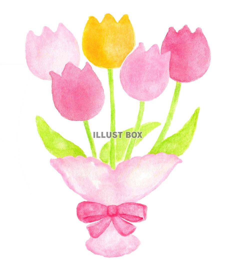 無料イラスト 水彩のチューリップの花束