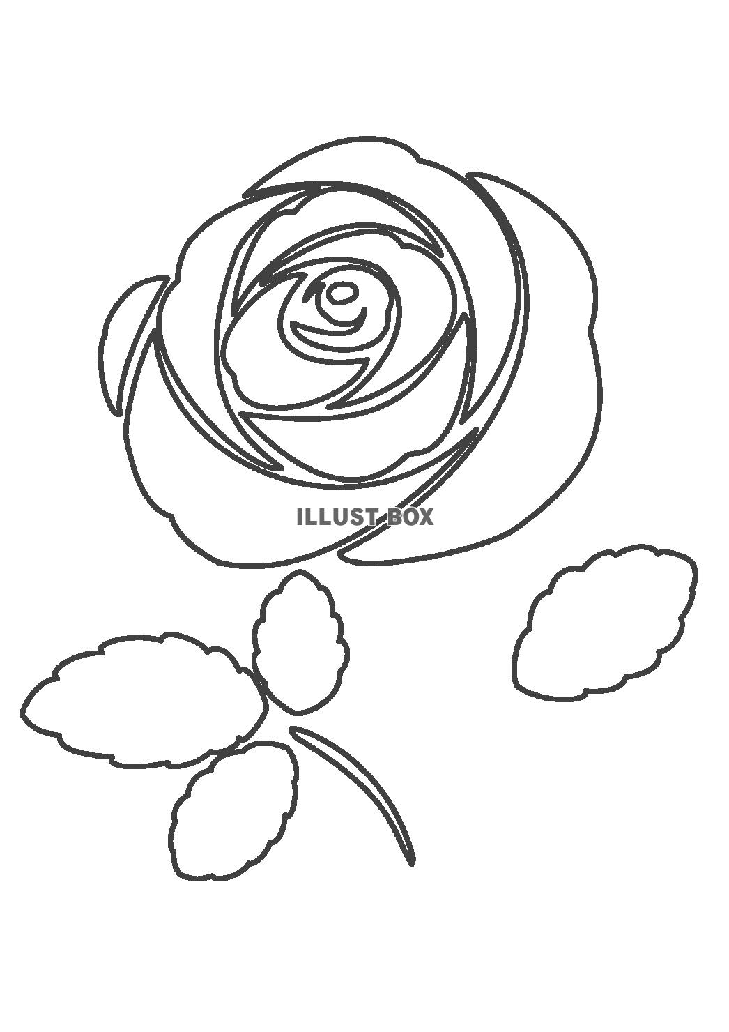 線画　一輪の薔薇　ぬりえ素材　シンプル　透過PNG