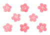 水彩テクスチャー　梅の花　素材　パーツ